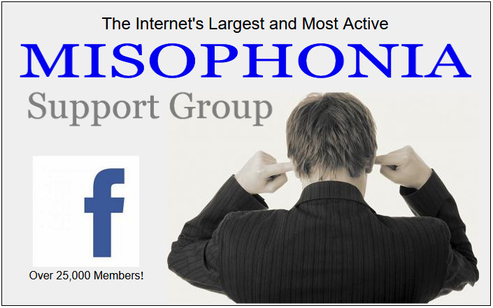 Misophonia Support Group
